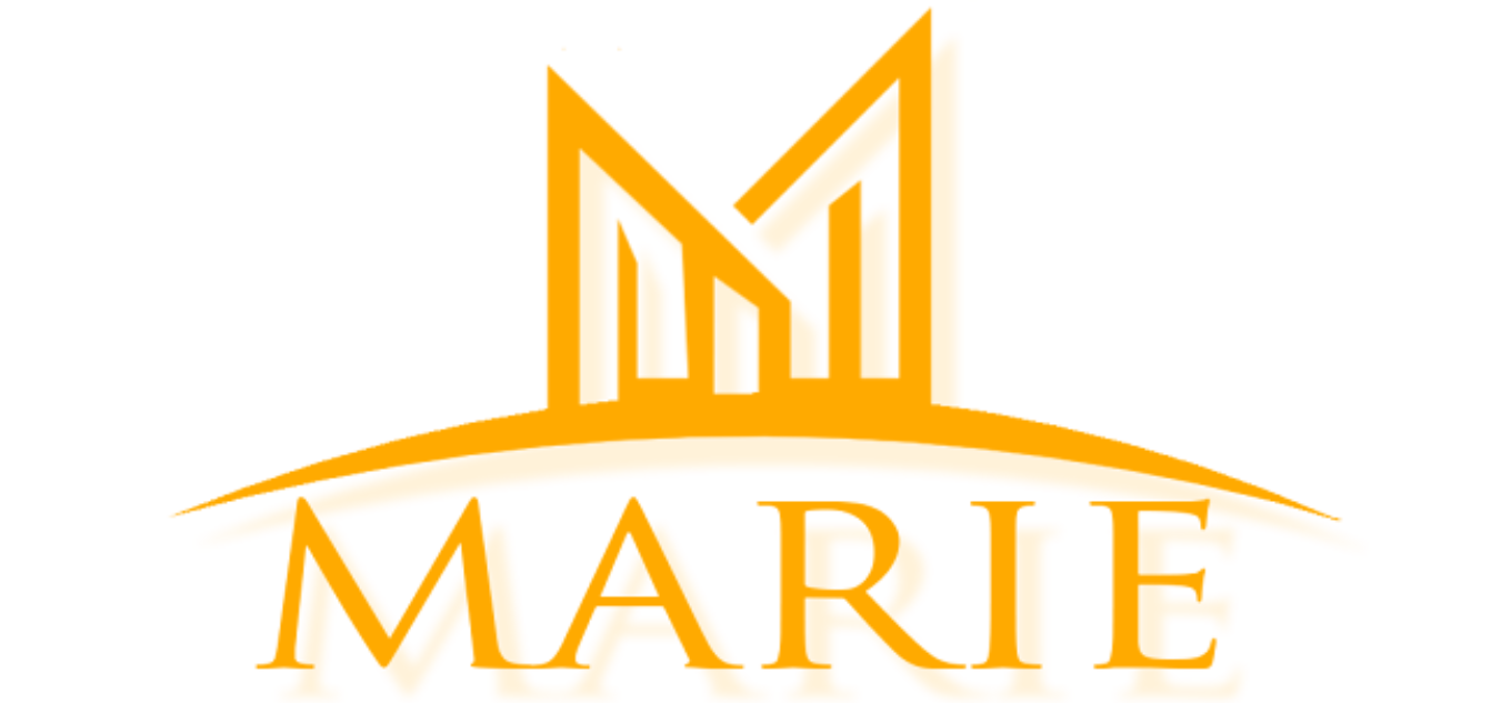 logo dommus